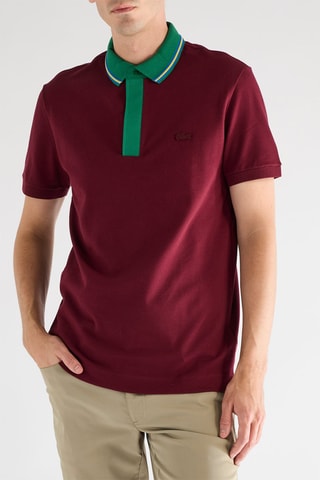 Polo regular en coton biologique - Bordeaux