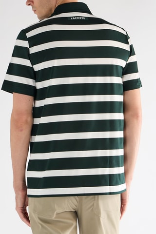 Polo - Vert et blanc