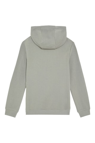 Sweat com capuz - Cinzento-claro