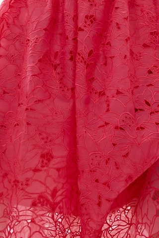 Robe patineuse en guipure Embroidered - Rose