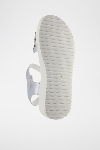 Espadrilles compensées - Argenté