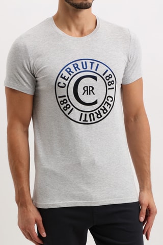 T-shirt Cinzento mesclado e preto