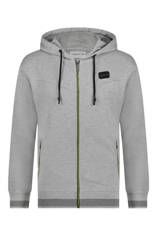 Sweat com capuz Cinzento mesclado