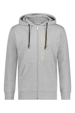 Sweat com capuz Cinzento mesclado