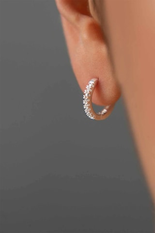 Orecchini a cerchio - Argentato