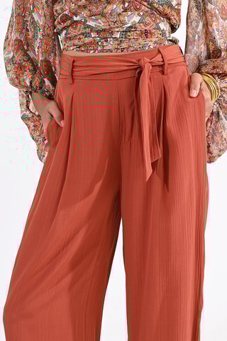 Pantaloni a vita alta - Marrone - Molly Bracken