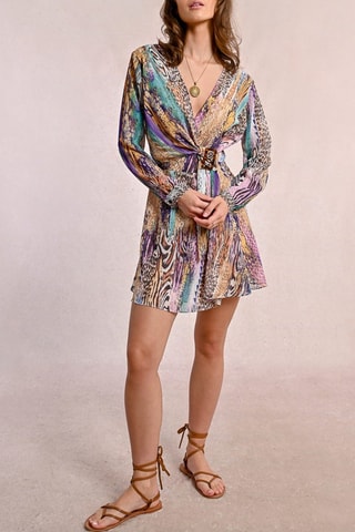 Skaterjurk - Paars en Lichtbruin