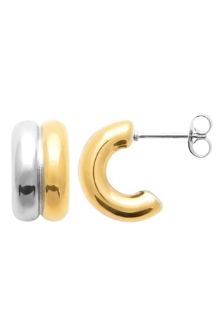 Creolen - Goudkleurig en Zilverkleurig