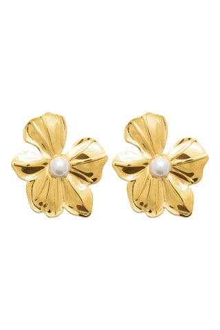 Oorbellen - Goudkleurig