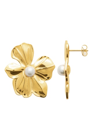 Oorbellen - Goudkleurig