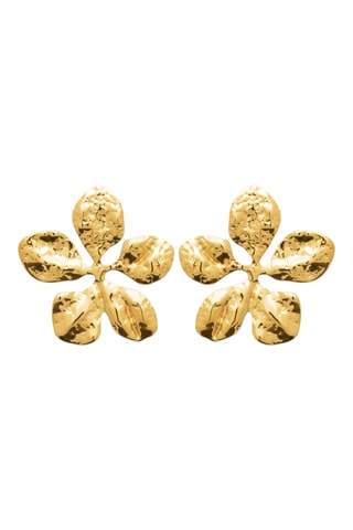 Oorbellen - Goudkleurig