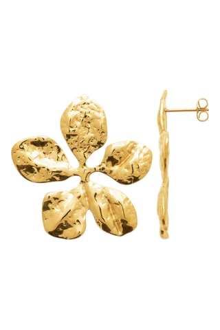 Oorbellen - Goudkleurig