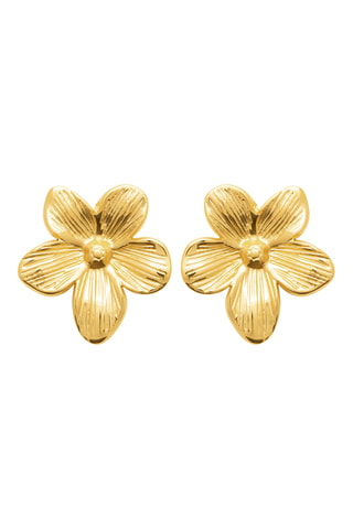 Oorbellen - Goudkleurig