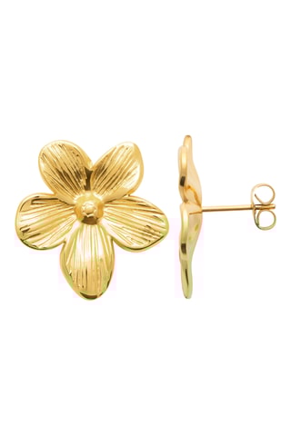 Oorbellen - Goudkleurig