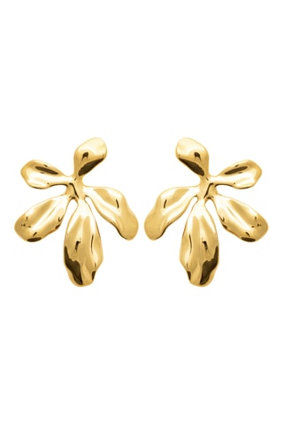 Oorbellen - Goudkleurig