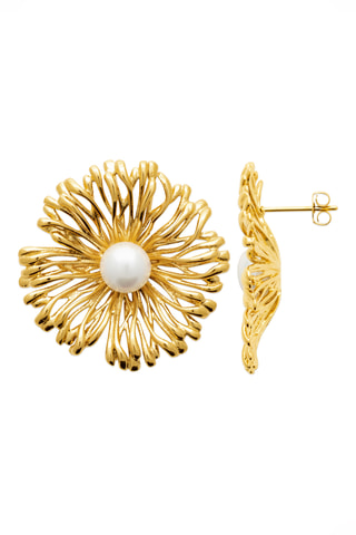 Oorbellen - Goudkleurig