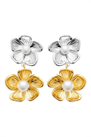 Oorbellen - Goudkleurig en Zilverkleurig