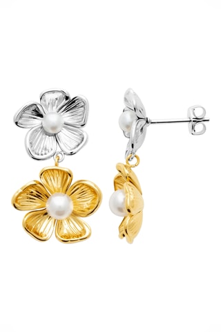 Oorbellen - Goudkleurig en Zilverkleurig