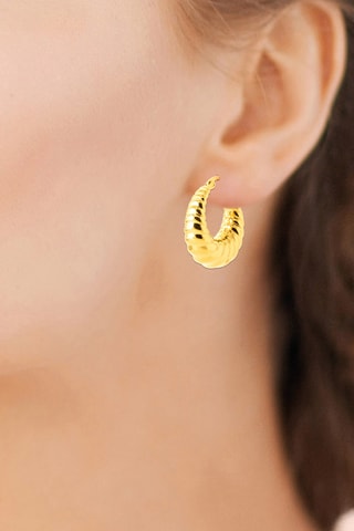 Creolen - Doublé Geelgoud