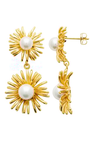 Oorbellen - Goudkleurig