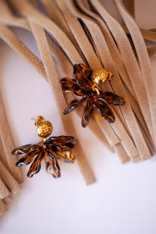 Boucles d'oreilles Gloria - Marron