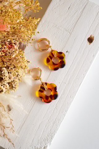 Créoles Ana - Marron