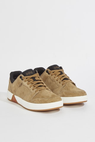 Baskets en nubuck Alpha - Marron clair
