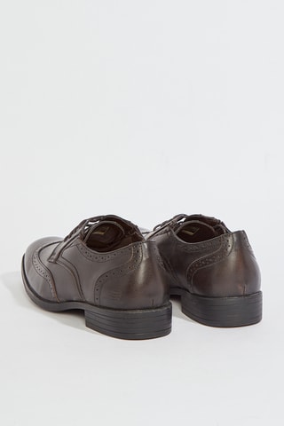 Derbys Larken - Marron