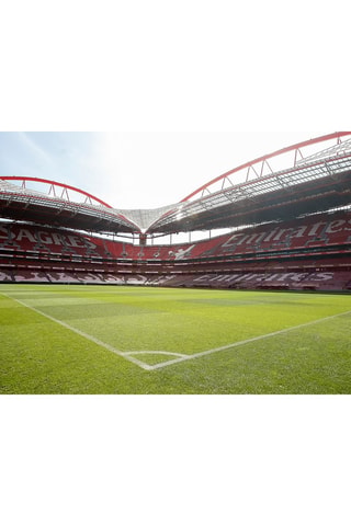 Pack presente Sport Lisboa e Benfica - Estádio & Museu + Luz by Chakall