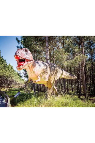 Pack presente Dino Parque