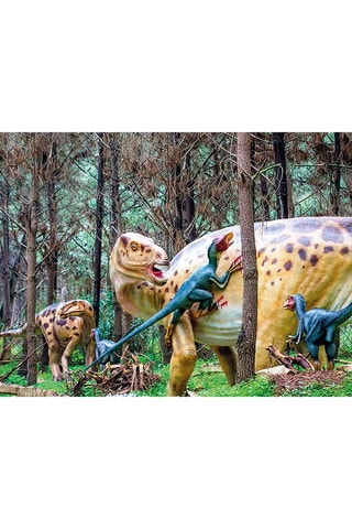 Pack presente Dino Parque