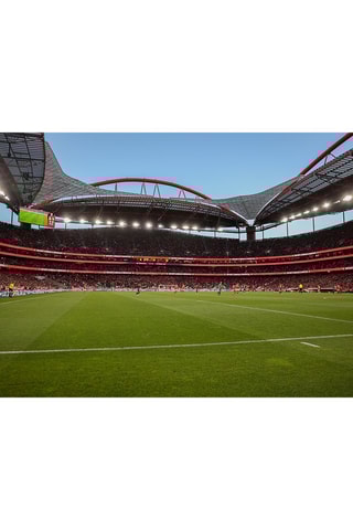 Pack presente Sport Lisboa e Benfica - Tour ao Estádio & Museu + Cachecóis