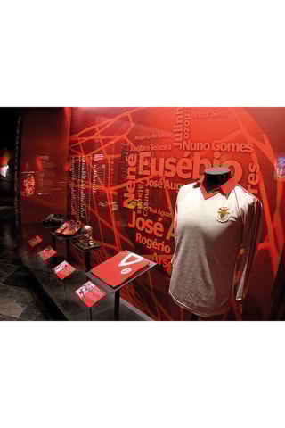 Pack presente Sport Lisboa e Benfica - Tour ao Estádio & Museu + Cachecóis