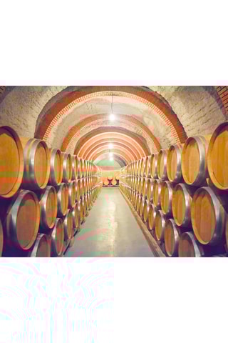 Pack presente Visita e Prova de Vinhos - 170 Experiências