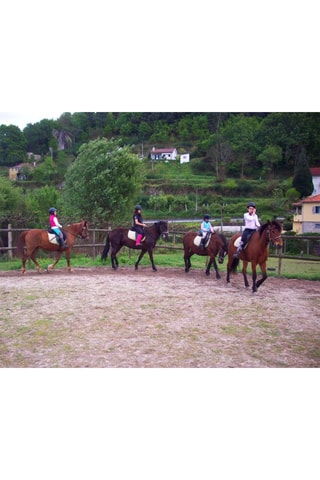 Pack presente Tens Coragem? Emoção ou Relaxar para 1 ou 2 pessoas - 250 Experiências