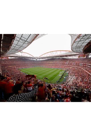 Pack presente Visita ao Museu, Estádio & Prova de Vinhos no Benfica