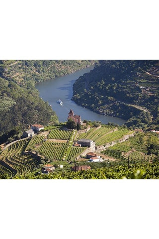 Pack presente Cruzeiros no Rio Douro - 5 experiências