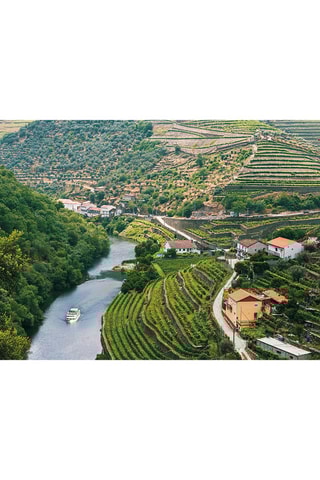 Pack presente Cruzeiros no Rio Douro - 5 experiências