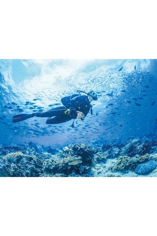 Pack presente Adrenalina Top - 1100 Experiências