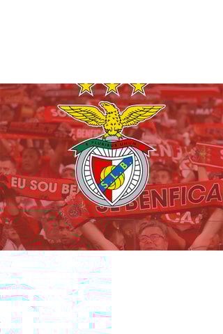 Coffret de prenda Sport Lisboa e Benfica - 1 Bilhete para Jogo no Estádio da Luz + 1 Cachecol