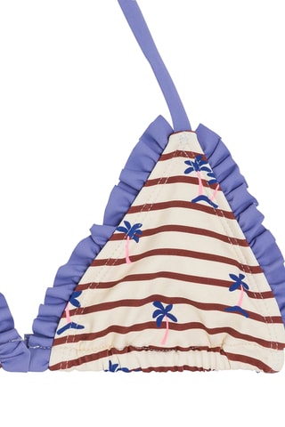 Biquíni - Cru e bordô