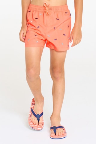 Boxers de banho - Coral
