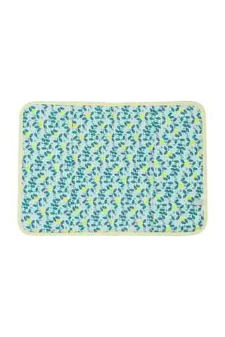 Proteção de caderno - Azul-claro e verde