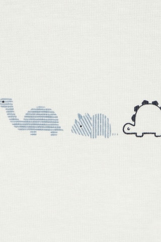 3 bodies - Cru - Obaibi