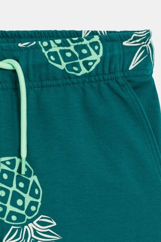 Bermudas - Verde-esmeralda