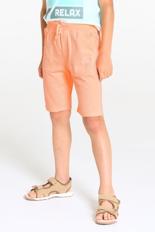 Bermudas - Salmão