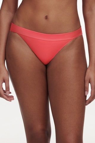Tanga Tattoo Lo - Rosa - Chantelle Pulp