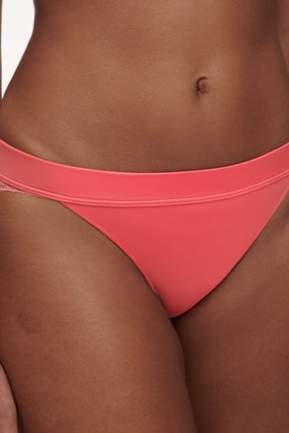 Tanga Tattoo Lo - Rosa - Chantelle Pulp