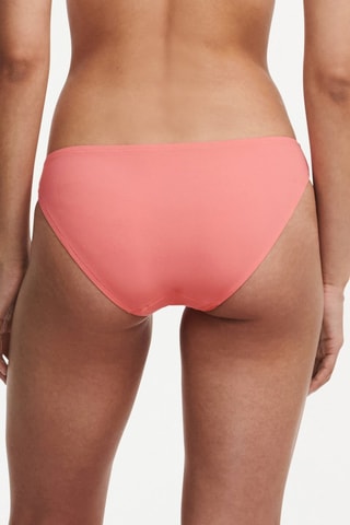 Braga de bikini Celestial - Coral