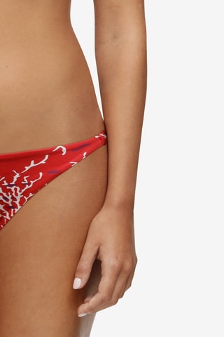 Braga de bikini Atlantis - Rojo